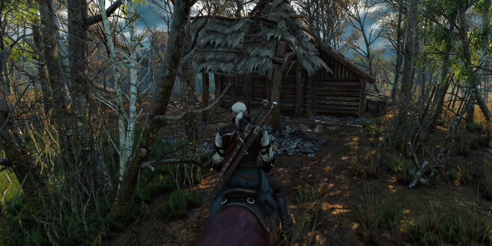 The Witcher 3